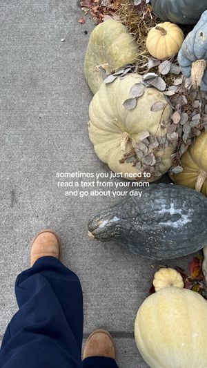 Video post by @collectivelykaitlyn on TikTok