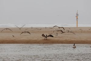 Image post by @caughtbykyra on Instagram