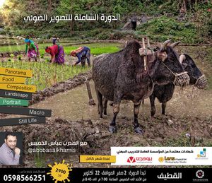 Image post by @abbasalkhamis on Instagram