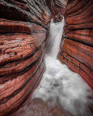 Image post by @cristan.nature.photography on Instagram