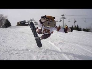 Video post by @goldythegopher on YouTube