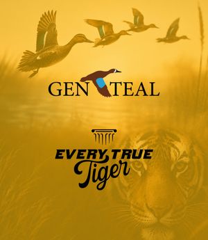 Image post by @everytruetiger on Instagram