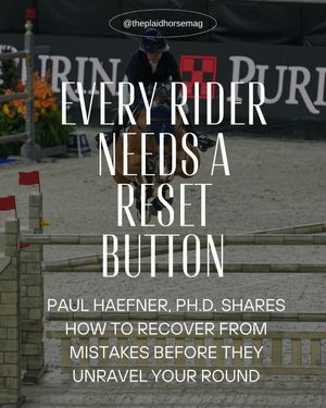 Image post by @theplaidhorsemag on Instagram
