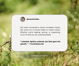 Image post by @awanitavalley on Instagram