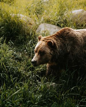 Image post by @bylukemiller on Instagram