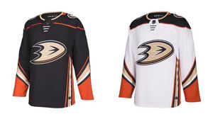 Image post by @anaheimducks on Instagram