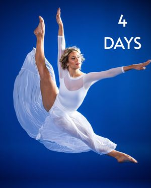 Image post by @byucougarettes on Instagram