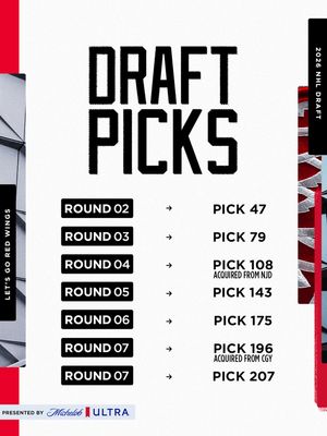Image post by @detroitredwings on Instagram