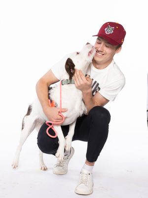 Image post by @chicagowolves on Instagram