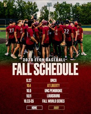 Image post by @elonbaseball on Instagram