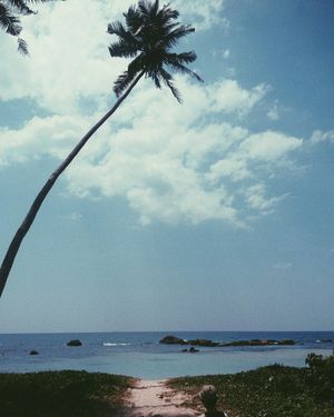 Image post by @kaylebhashbandara on Instagram