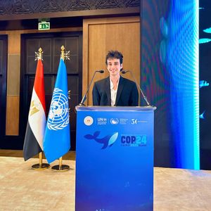 Image post by @fromthebowseat on Instagram