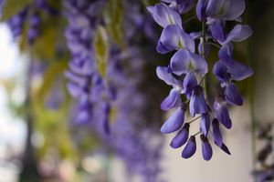 Image post by @W.39thPhotos on Facebook
