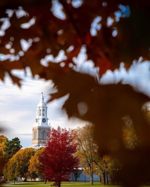 Image post by @universityatbuffalo on Instagram