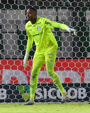 Image post by @palmeiras on Instagram