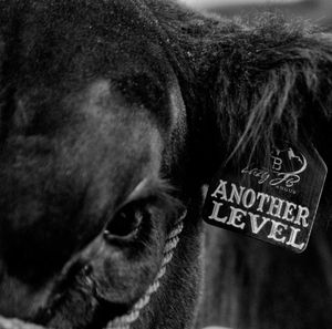 Image post by @nationalwestern on Instagram