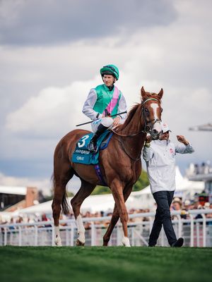Image post by @worldhorseracing on Instagram