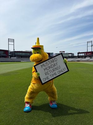 Image post by @thechicagodogs on Instagram