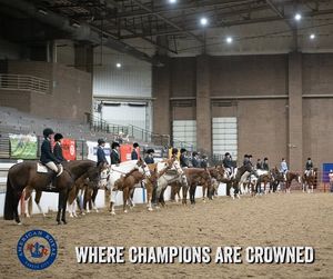 Image post by @americanroyalassociation on Facebook