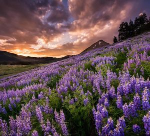 Image post by @skicrestedbutte on Instagram