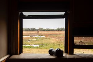 Image post by @chiawasafaris on Instagram