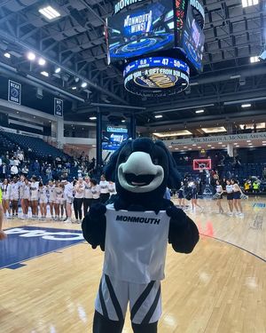 Image post by @shadowthehawk on Instagram