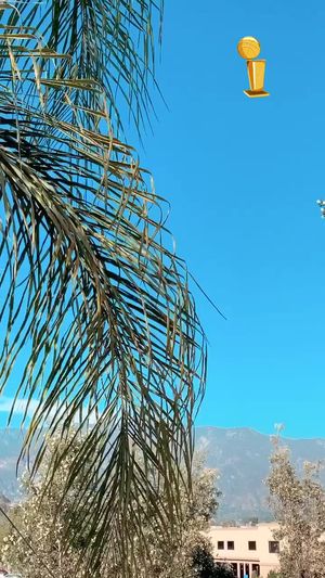 Video post by @jnardthedirector on TikTok