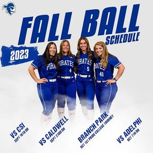 Image post by @shu_softball on Instagram