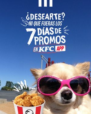 Image post by @kfcecuador on Instagram
