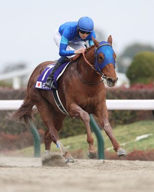 Image post by @godolphin on Instagram