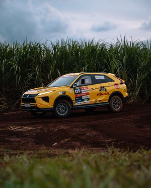 Image post by @brunovanenck on Instagram