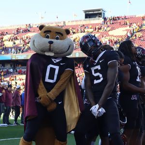 Image post by @goldythegopher on Instagram