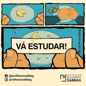 Image post by @professorsabbag on Instagram