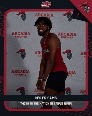 Image post by @arcadia_knights on Instagram