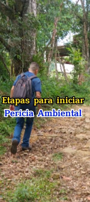 Video post by @operitoambiental on Instagram