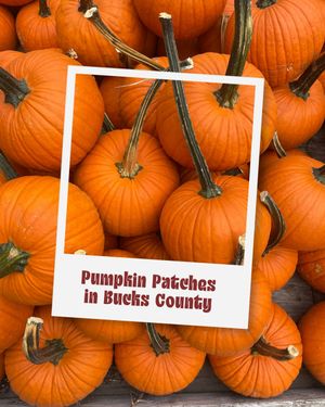 Image post by @visitbuckspa on Instagram