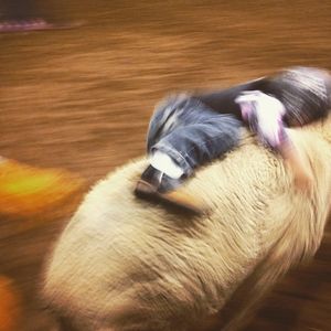 Image post by @nationalwestern on Instagram