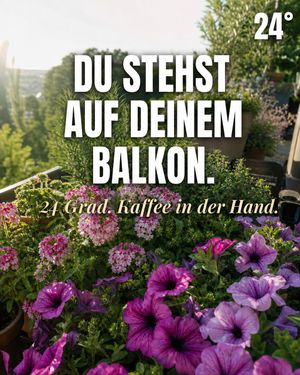 Image post by @oldenburgerwohngarten on Instagram