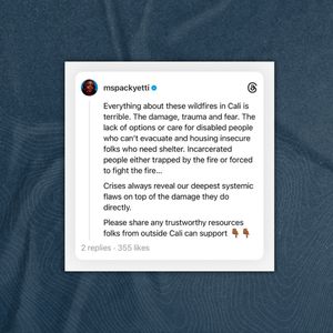 Image post by @nativelandpod on Instagram