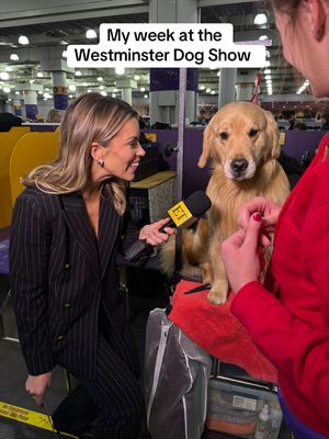 Video post by @jennytaft on TikTok
