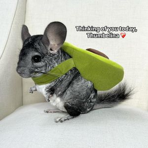 Image post by @phillychinchilly on Instagram