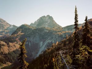 Image post by @lostfoxcreative on Instagram