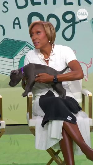 Video post by @gma on TikTok