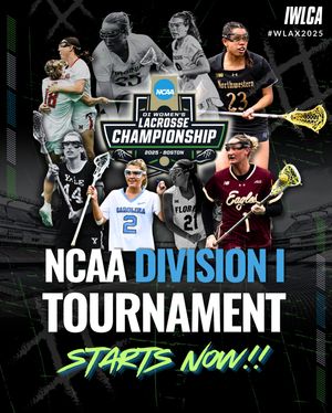 Image post by @iwlca on Instagram