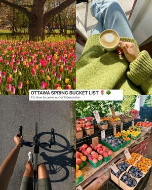 Video post by @morgan.exploring on TikTok