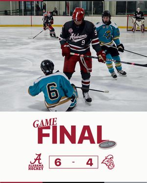 Image post by @alabamahockeyd2 on Instagram