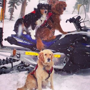 Image post by @keystone_resort on Instagram