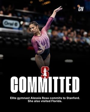 Image post by @gymnastics__now on Instagram