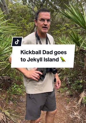 Video post by @alyssacronin13 on TikTok