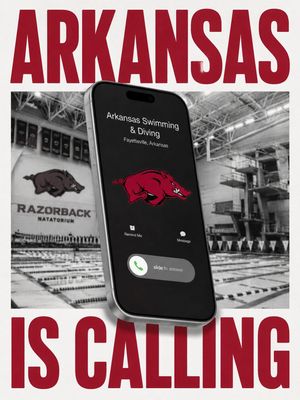 Image post by @razorbackswimdive on Instagram